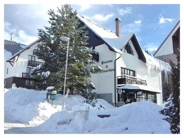 Hotel U Bernardyna Harrachov Exterior foto